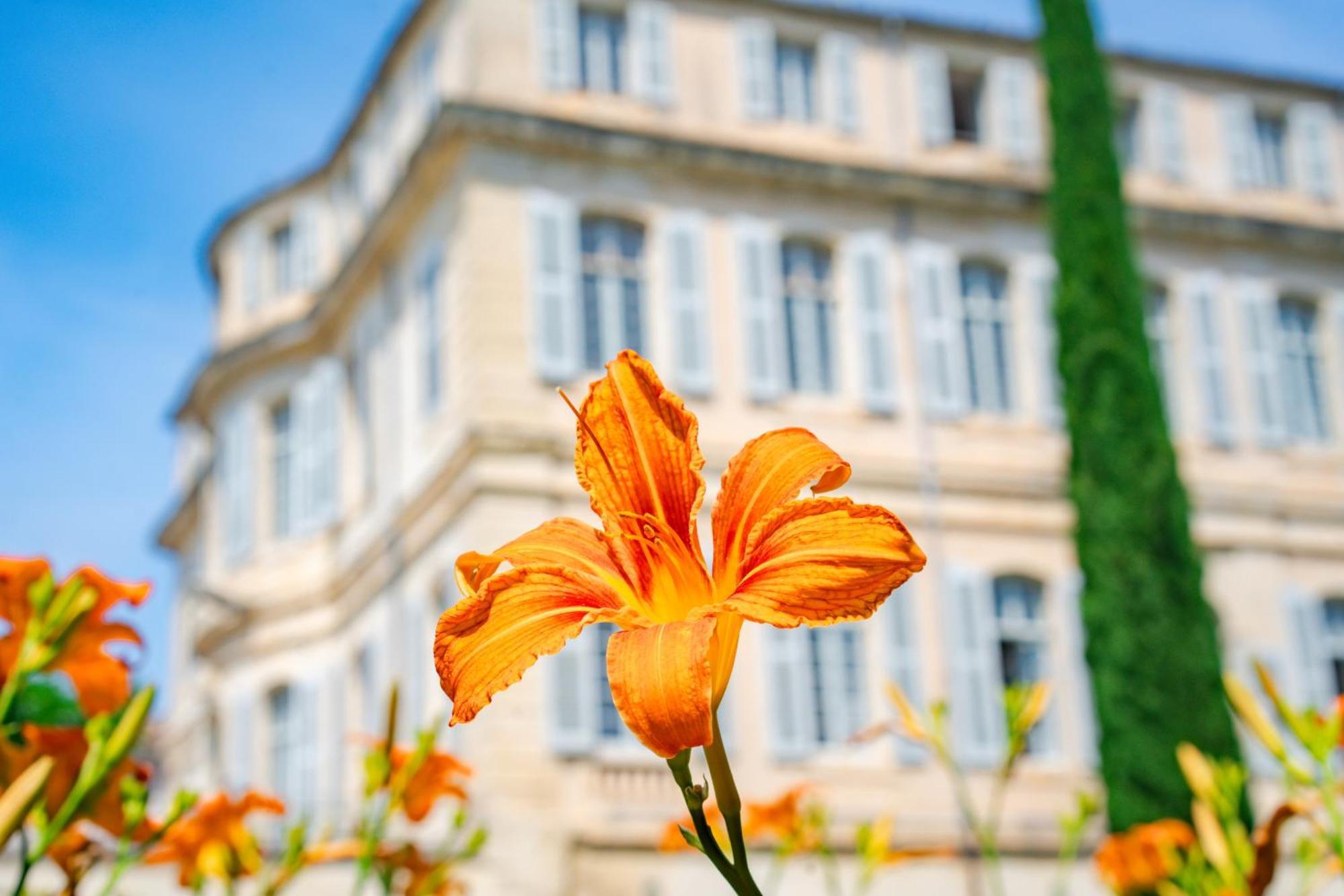 Chateau De Mazan, BW Premier Collection By Best Western Exterior photo